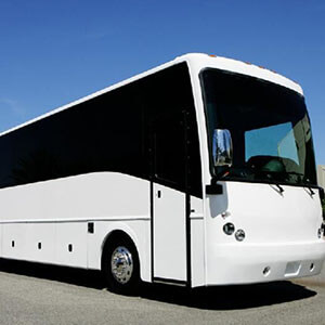 50 Passenger Party Bus Rental